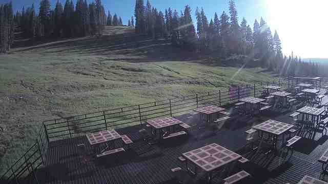 Dodge Ridge Ski Resort Mid-Mountain Camera