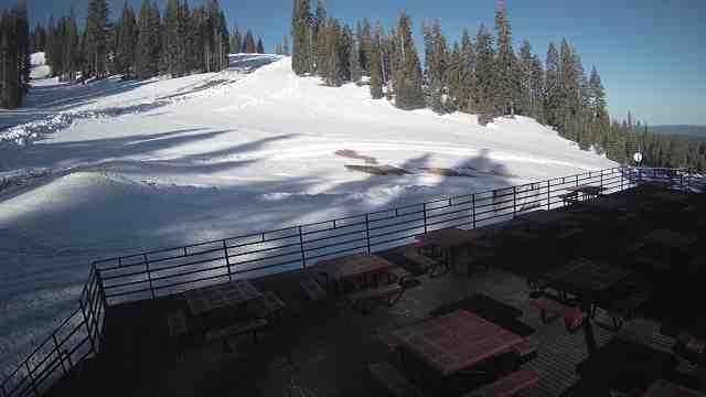 Dodge Ridge Ski Resort Mid-Mountain Camera