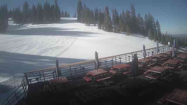 Dodge Ridge Ski Resort Mid-Mountain Camera