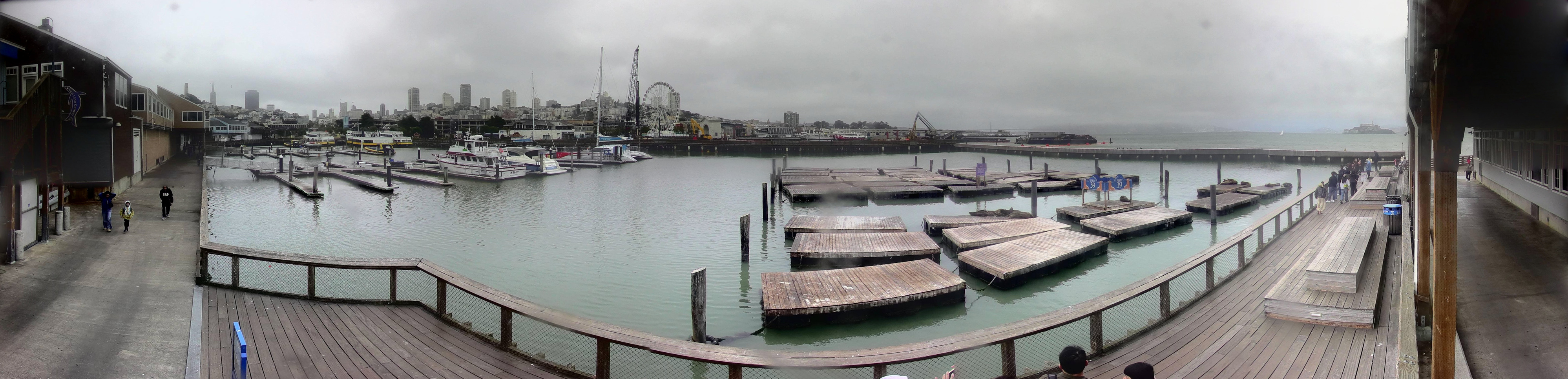 Live webcam view of Leones marinos del Pier 39