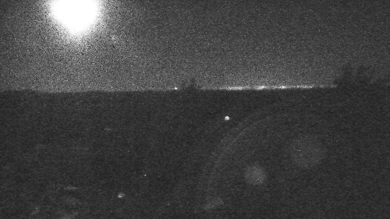 Upper Sugar N' Spice