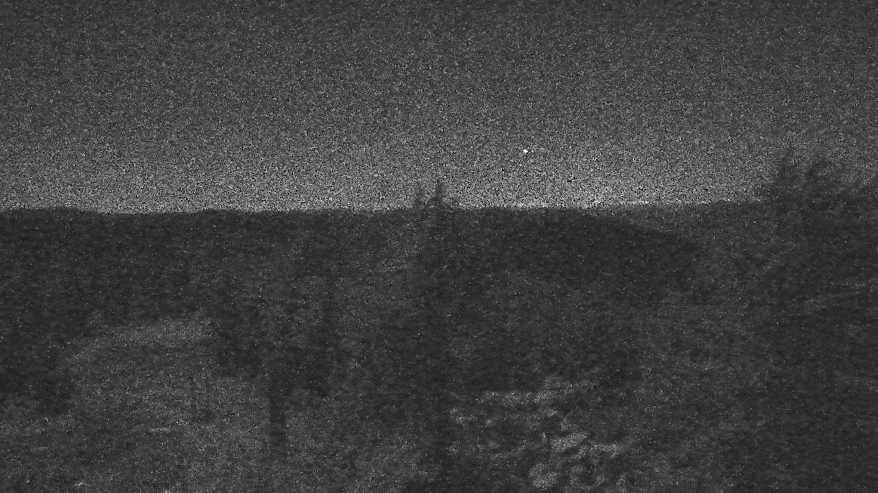 Upper Sugar N' Spice