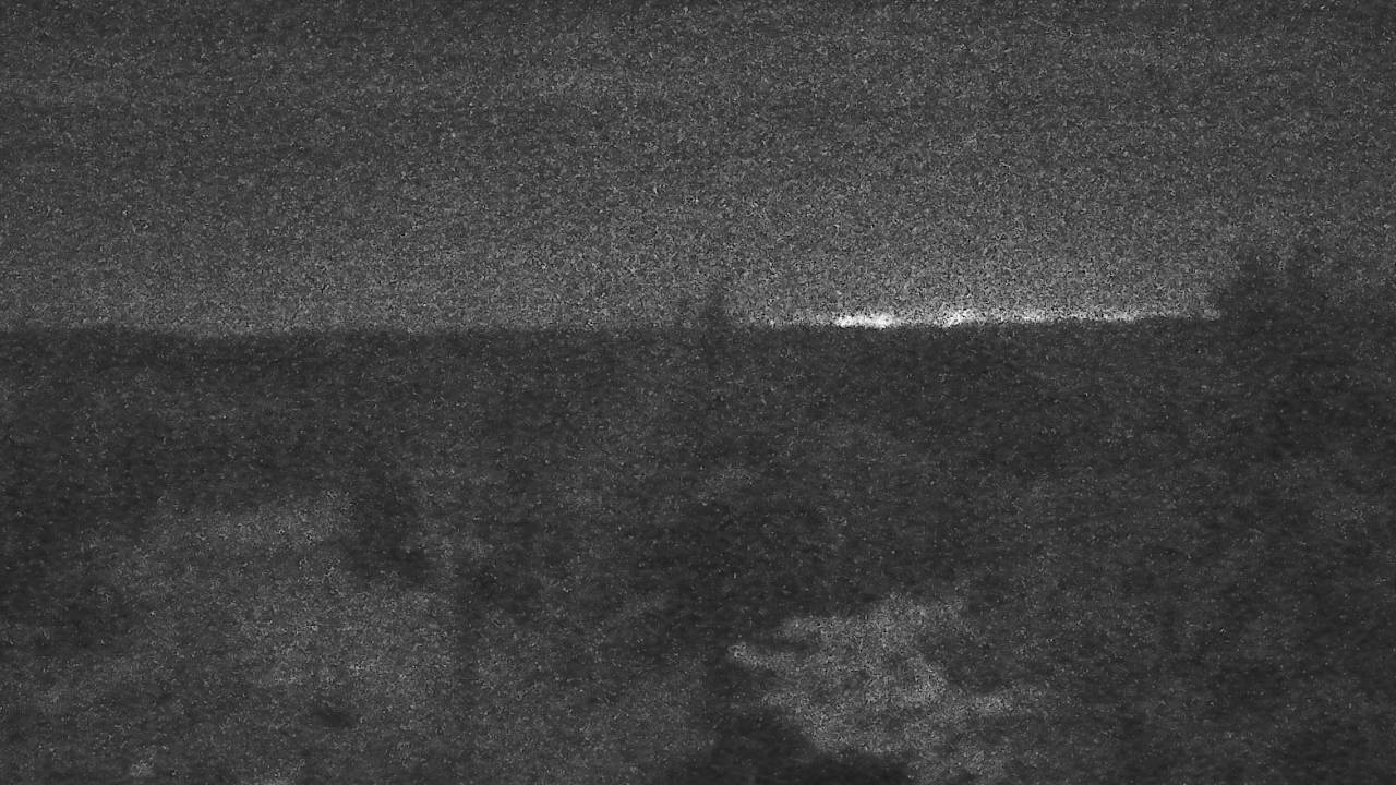 Upper Sugar N' Spice