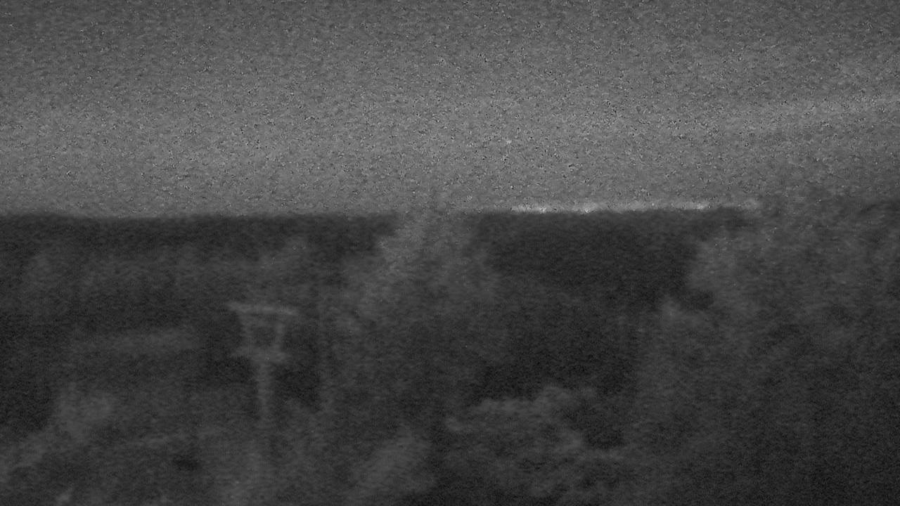 Upper Sugar N' Spice