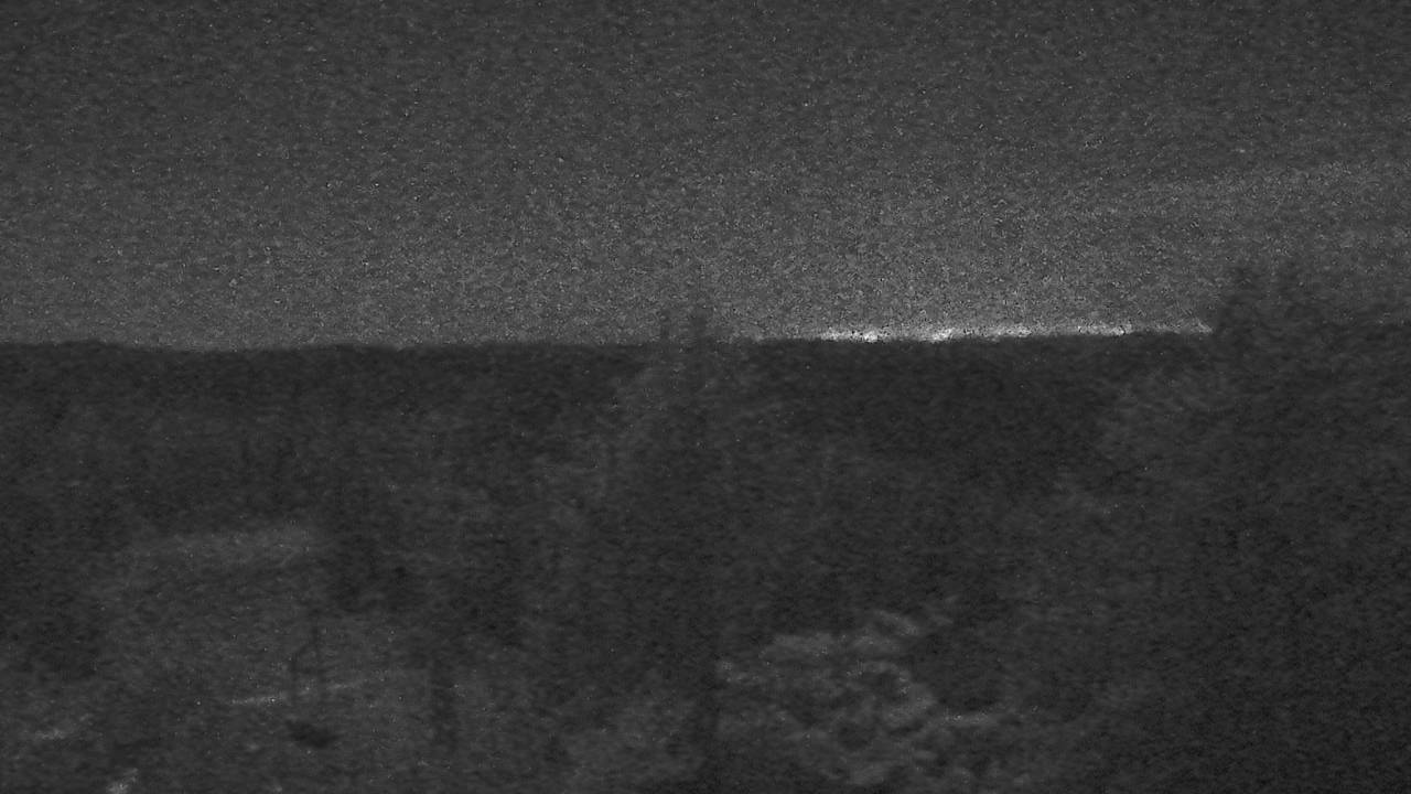 Upper Sugar N' Spice