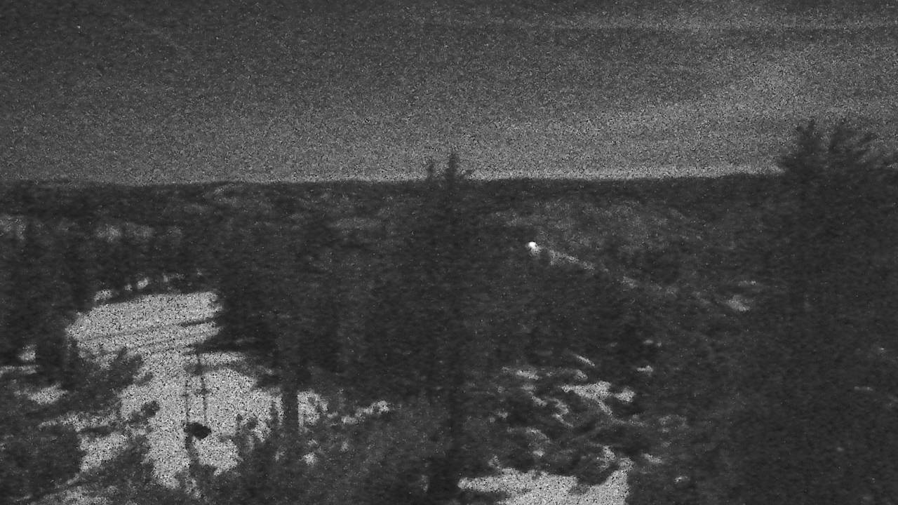 Upper Sugar N' Spice