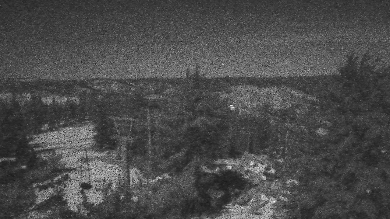 Upper Sugar N' Spice