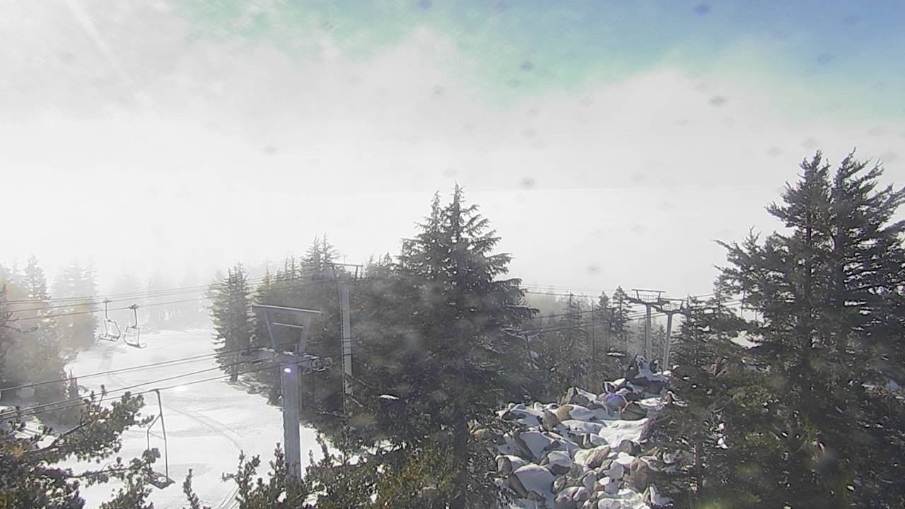 Upper Sugar N' Spice