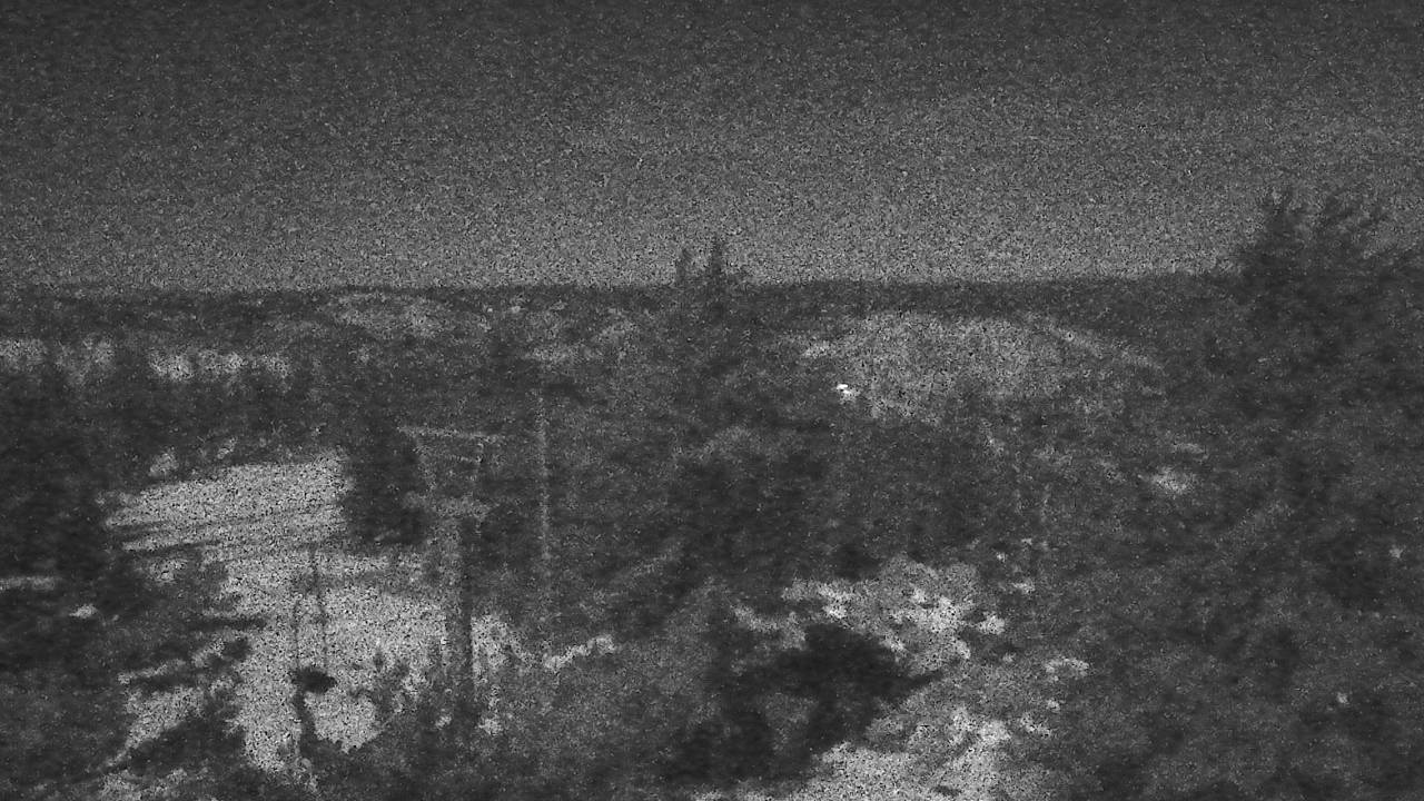 Upper Sugar N' Spice