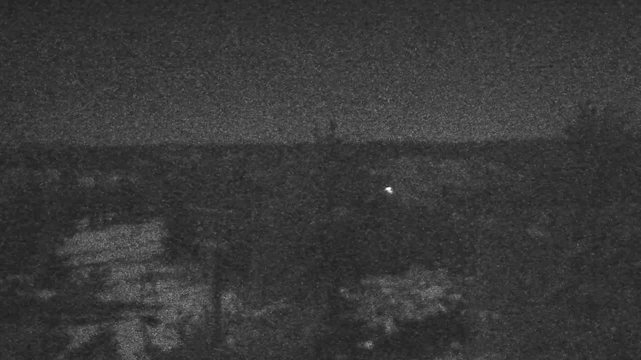 Upper Sugar N' Spice