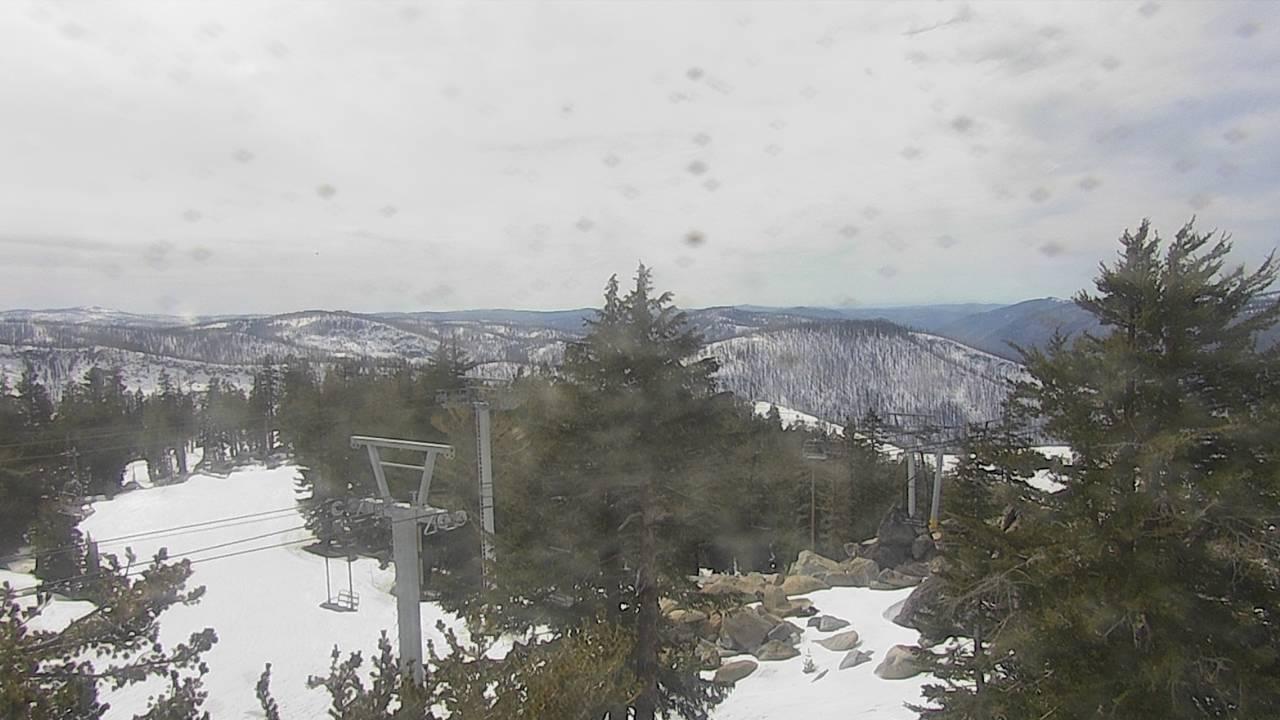 Upper Sugar N' Spice