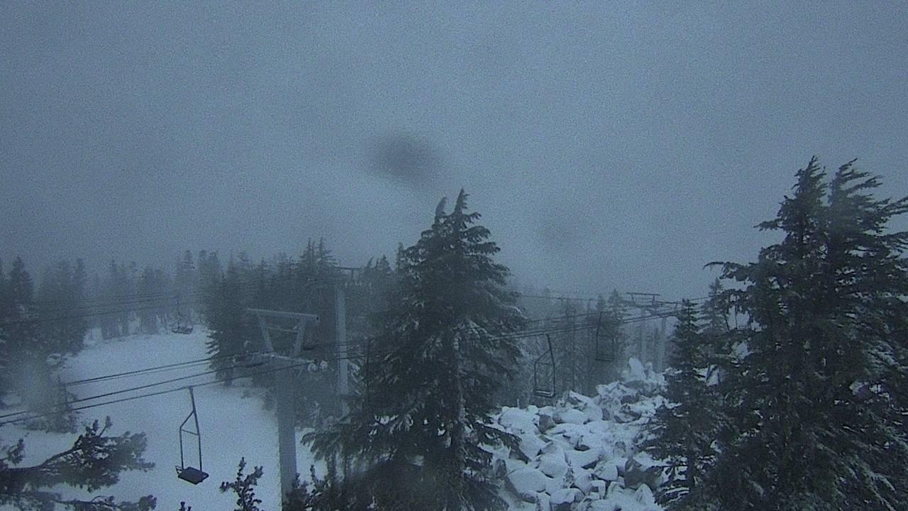 Upper Sugar N' Spice