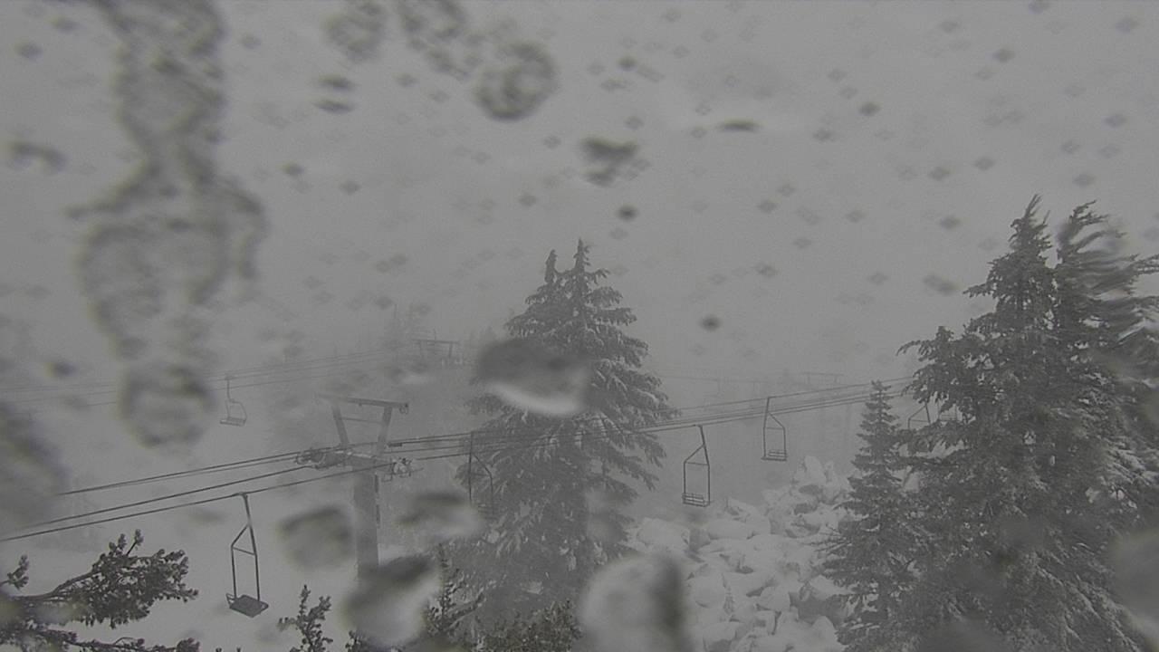 Upper Sugar N' Spice