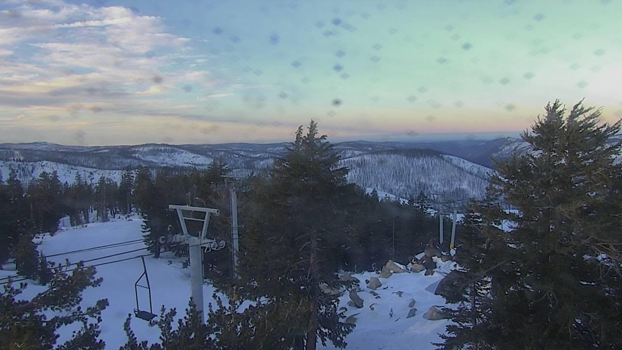 Upper Sugar N' Spice