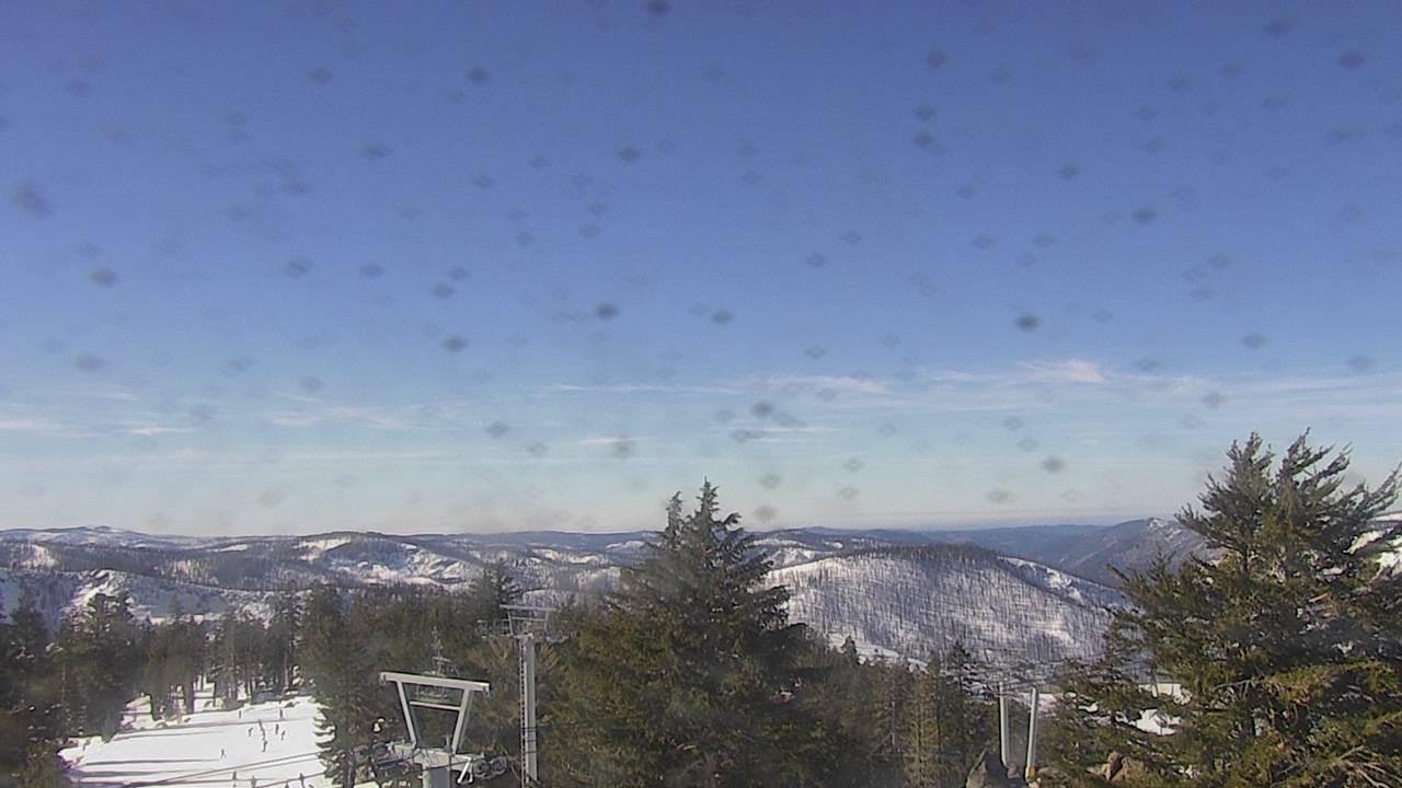 Upper Sugar N' Spice