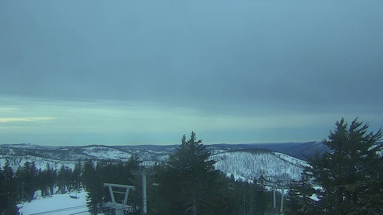 Upper Sugar N' Spice