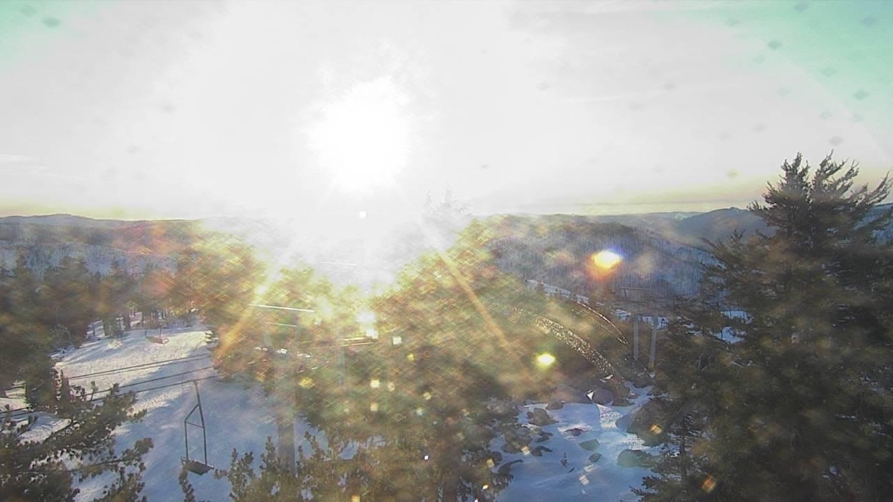 Upper Sugar N' Spice