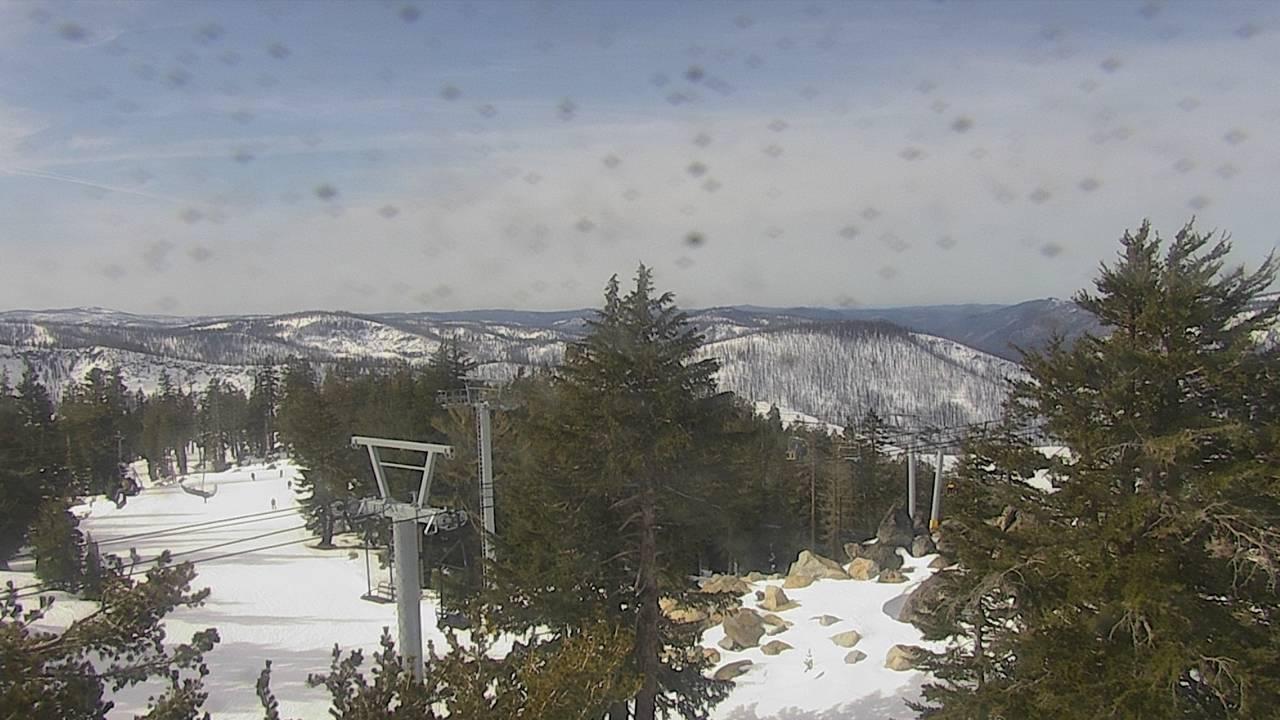 Upper Sugar N' Spice