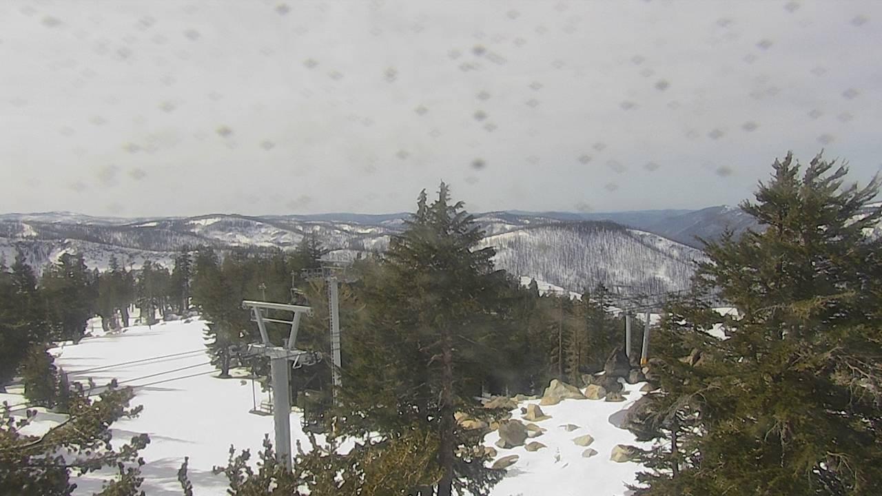 Upper Sugar N' Spice