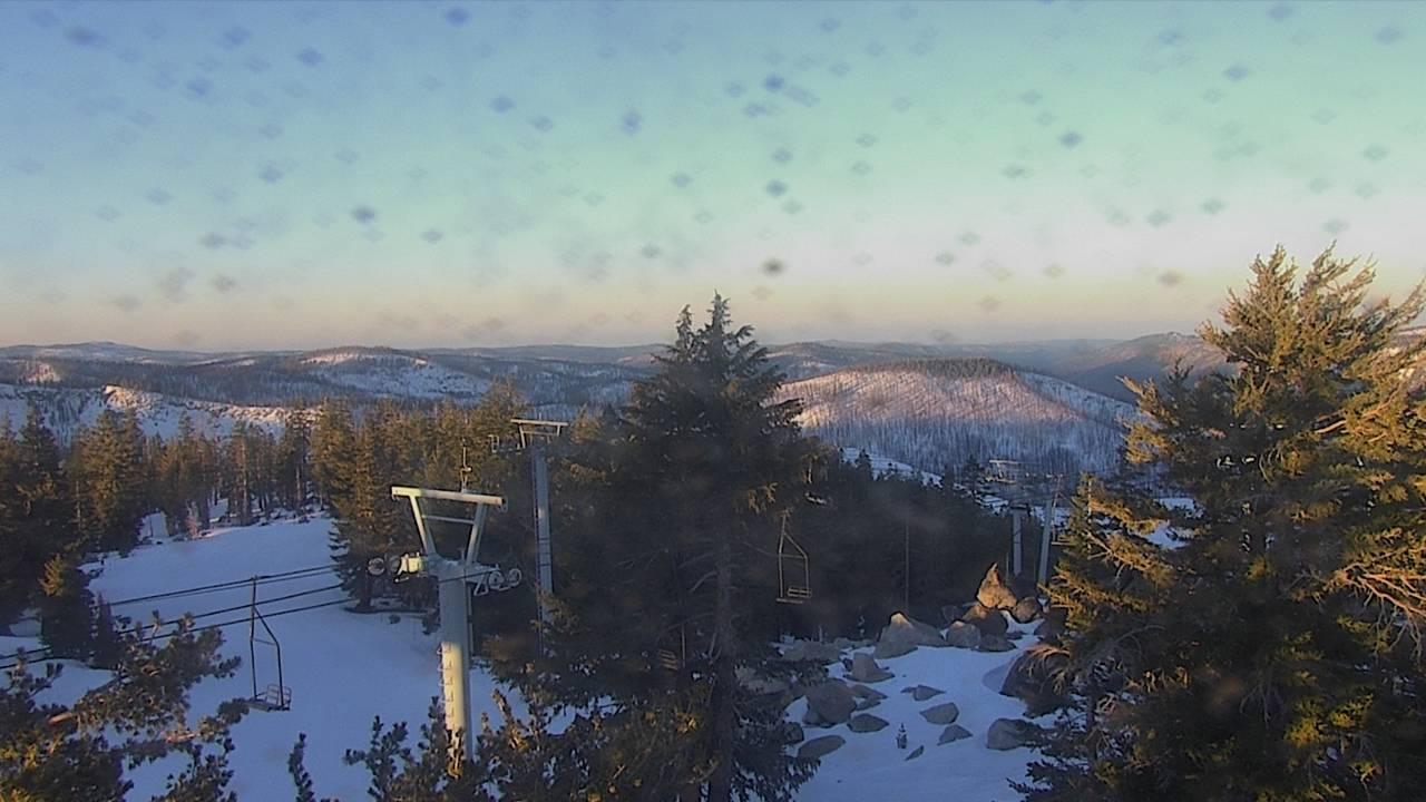 Upper Sugar N' Spice