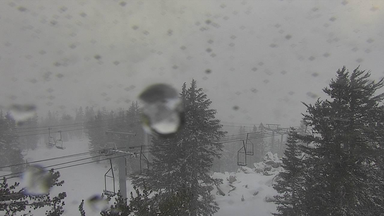 Upper Sugar N' Spice