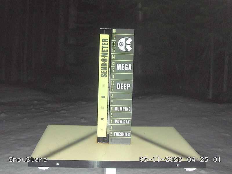 Snow Stake — Before Daily Clearing